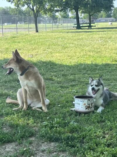Foundation Park - Fostoria, OH