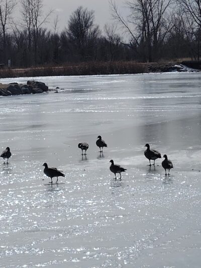 Fountain creek dog park - Fountain, CO