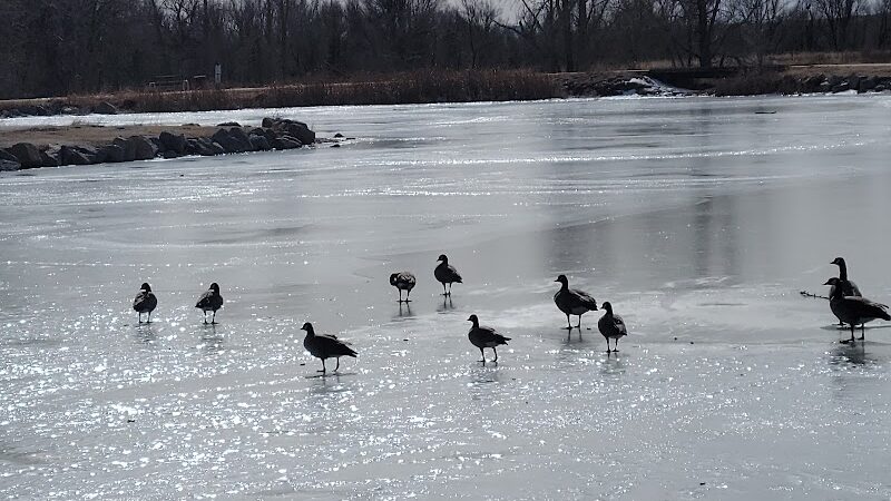 Fountain creek dog park - Fountain, CO