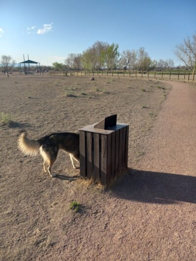 Fountain creek dog park - Fountain, CO
