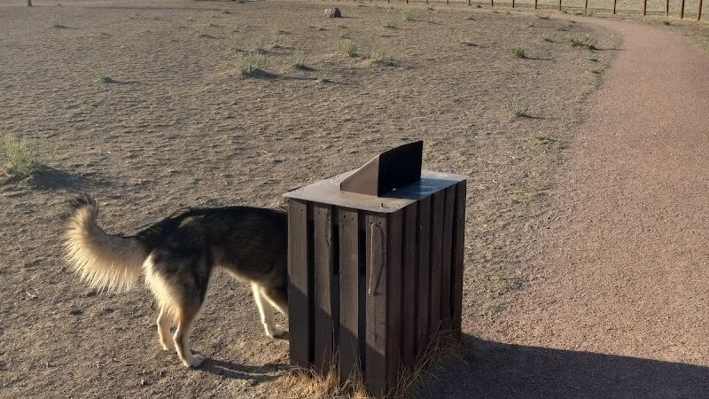 Fountain creek dog park - Fountain, CO