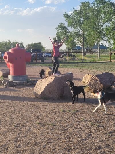 Fountain creek dog park - Fountain, CO