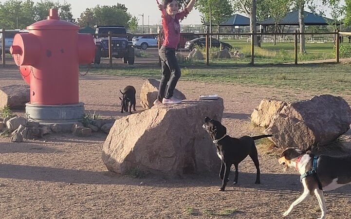 Fountain creek dog park - Fountain, CO