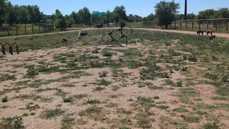 Fountain creek dog park - Fountain, CO