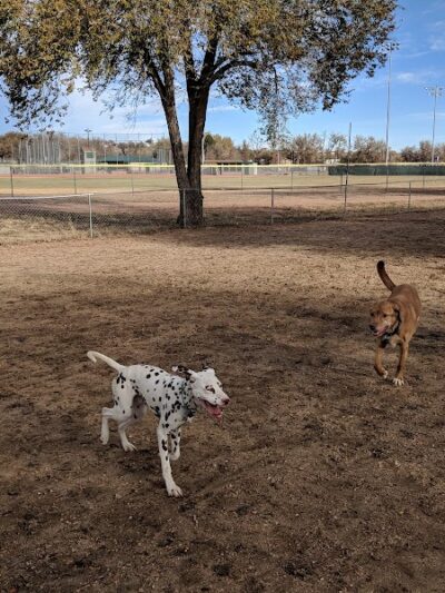 Metcalfe Hondo Memorial Doggie Park - Fountain, CO