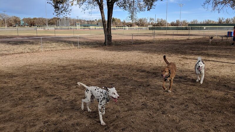 Metcalfe Hondo Memorial Doggie Park - Fountain, CO