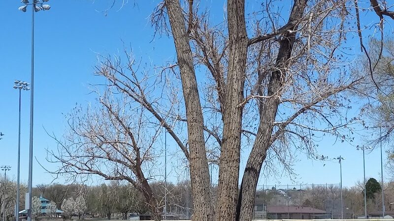 Metcalfe Hondo Memorial Doggie Park - Fountain, CO