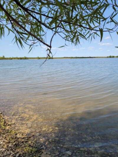 Francisco - Francisco, IN