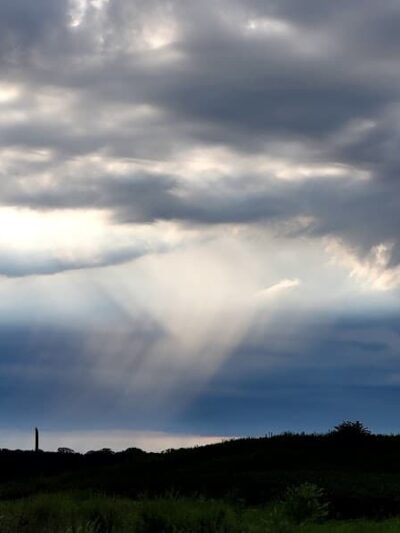 Francisco - Francisco, IN