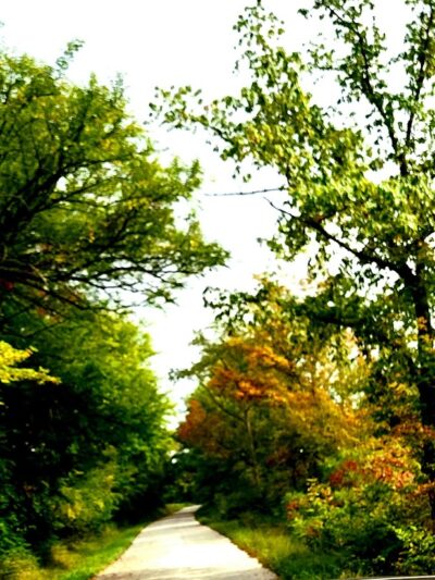 Francisco - Francisco, IN