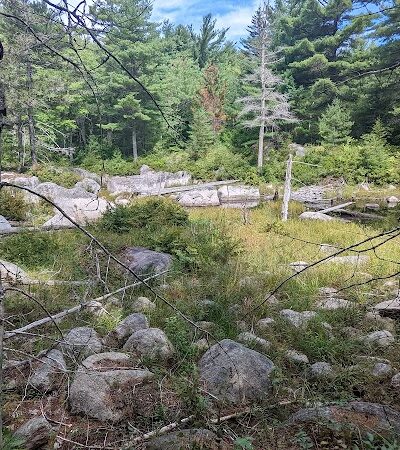 Donnell Pond Public Reserved Land - Franklin, ME