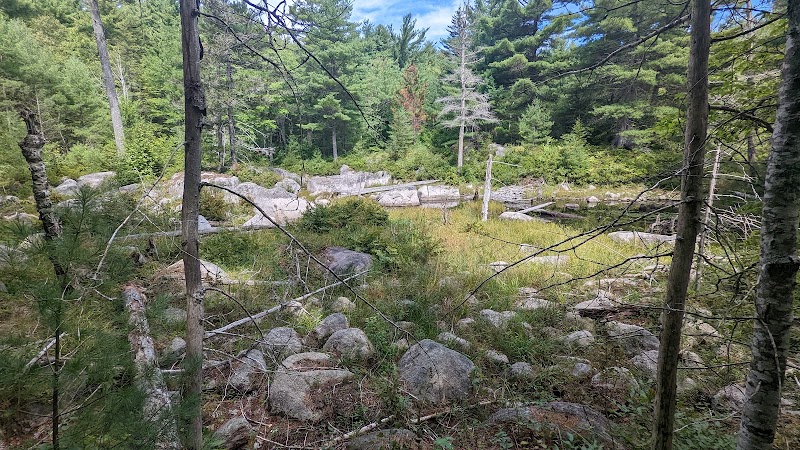 Donnell Pond Public Reserved Land - Franklin, ME