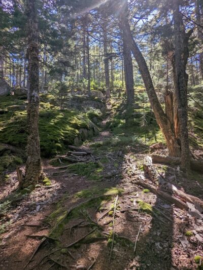 Donnell Pond Public Reserved Land - Franklin, ME