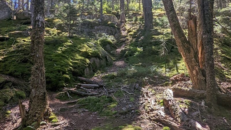 Donnell Pond Public Reserved Land - Franklin, ME