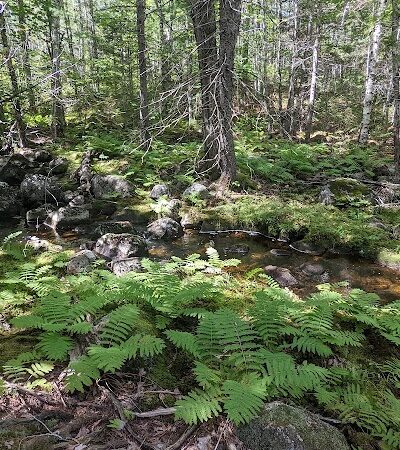 Donnell Pond Public Reserved Land - Franklin, ME