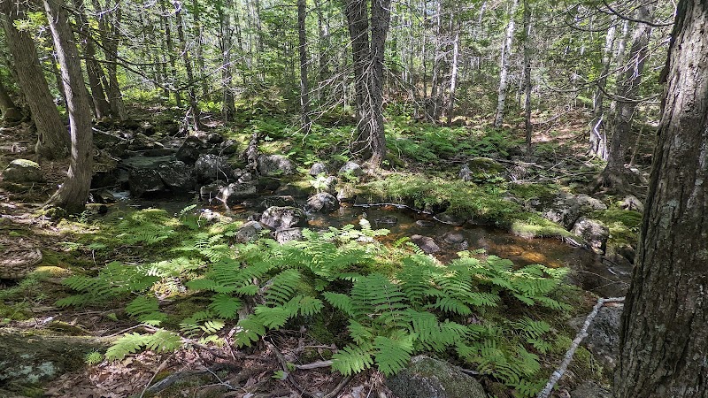 Donnell Pond Public Reserved Land - Franklin, ME