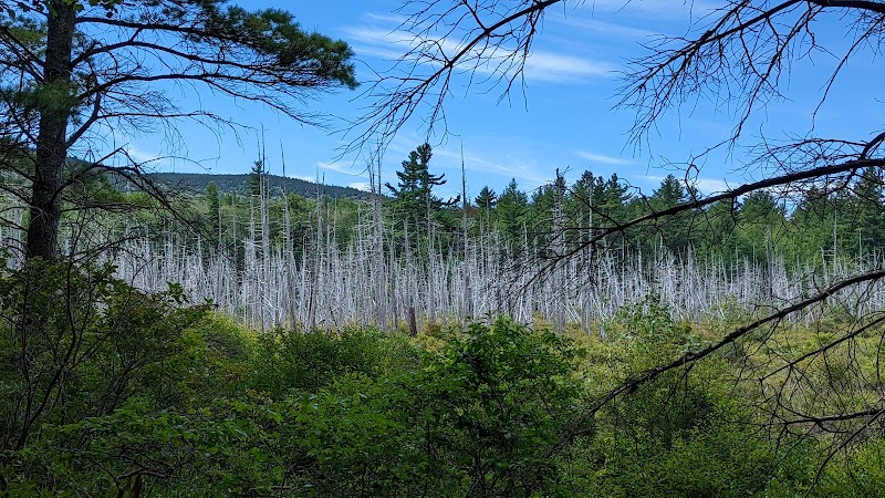 Donnell Pond Public Reserved Land - Franklin, ME