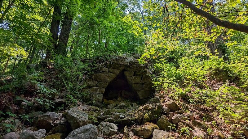 Johnsonburg Swamp Preserve - The Nature Conservancy - Fredon Township, NJ