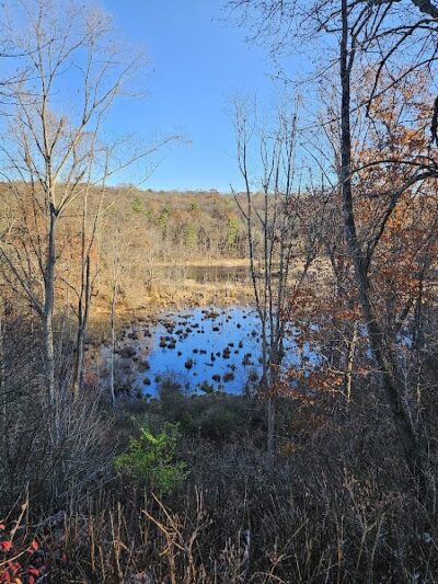 Johnsonburg Swamp Preserve - The Nature Conservancy - Fredon Township, NJ