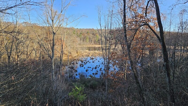 Johnsonburg Swamp Preserve - The Nature Conservancy - Fredon Township, NJ