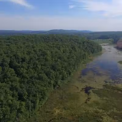 Johnsonburg Swamp Preserve - The Nature Conservancy - Fredon Township, NJ