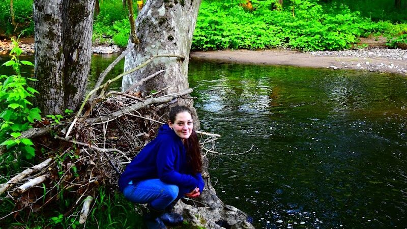Johnsonburg Swamp Preserve - The Nature Conservancy - Fredon Township, NJ