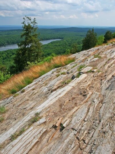 Johnsonburg Swamp Preserve - The Nature Conservancy - Fredon Township, NJ