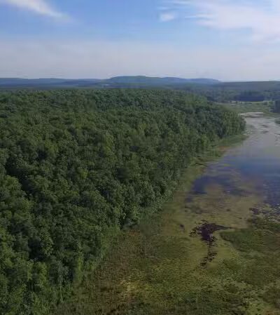 Johnsonburg Swamp Preserve - The Nature Conservancy - Fredon Township, NJ