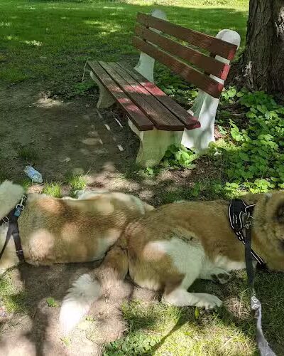 Lake Topanemus Park (Robertsville Road Entrance) - Freehold, NJ