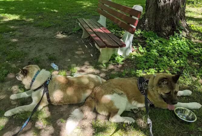 Lake Topanemus Park (Robertsville Road Entrance) - Freehold, NJ