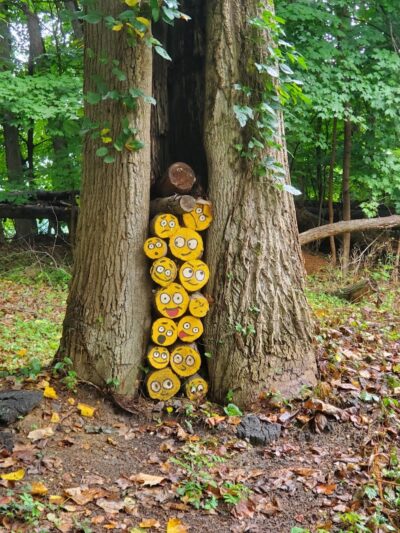 Lake Topanemus Park (Robertsville Road Entrance) - Freehold, NJ