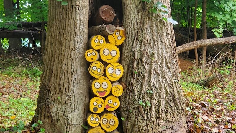 Lake Topanemus Park (Robertsville Road Entrance) - Freehold, NJ