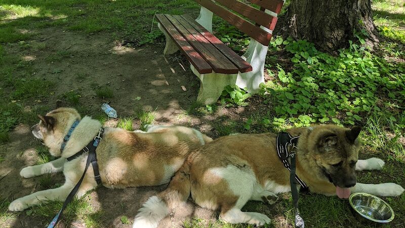Lake Topanemus Park (Robertsville Road Entrance) - Freehold, NJ