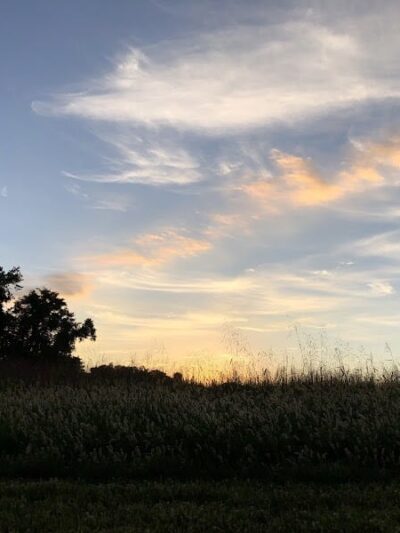 Lake Topanemus Park (Robertsville Road Entrance) - Freehold, NJ