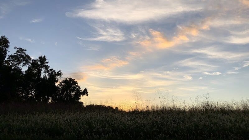 Lake Topanemus Park (Robertsville Road Entrance) - Freehold, NJ