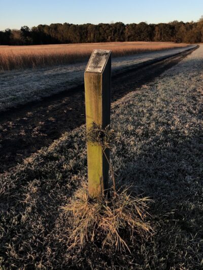 Lake Topanemus Park (Robertsville Road Entrance) - Freehold, NJ
