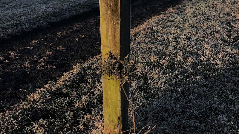 Lake Topanemus Park (Robertsville Road Entrance) - Freehold, NJ