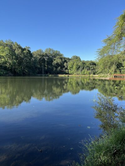 Lake Topanemus Park (Robertsville Road Entrance) - Freehold, NJ