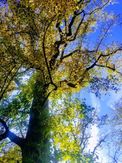 Veterans Park - Freehold, NJ