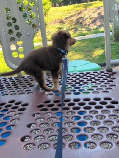 Veterans Park - Freehold, NJ