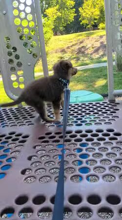 Veterans Park - Freehold, NJ