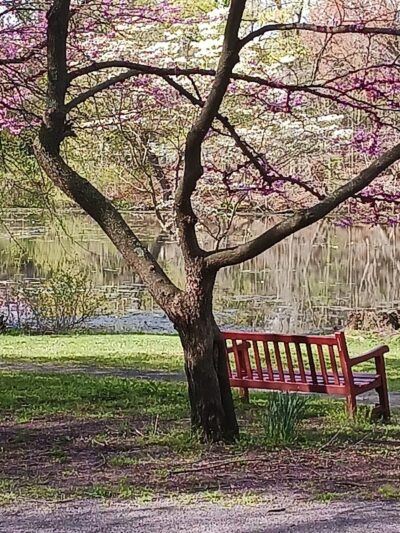 Pond Road and Lake Topanemus Drive - Freehold, NJ
