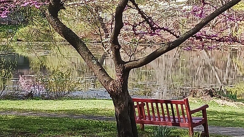 Pond Road and Lake Topanemus Drive - Freehold, NJ