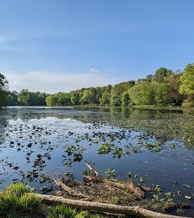 Pond Road and Lake Topanemus Drive - Freehold, NJ