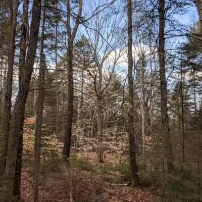 Florida Lake Park - Freeport, ME