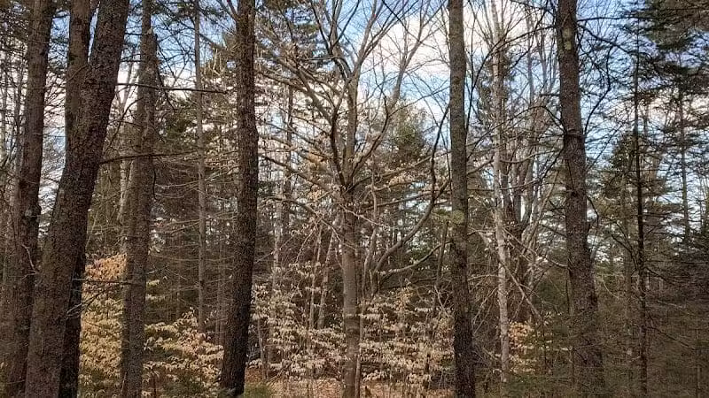 Florida Lake Park - Freeport, ME