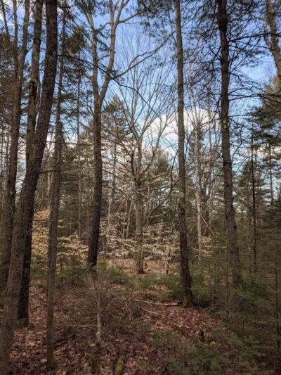 Florida Lake Park - Freeport, ME