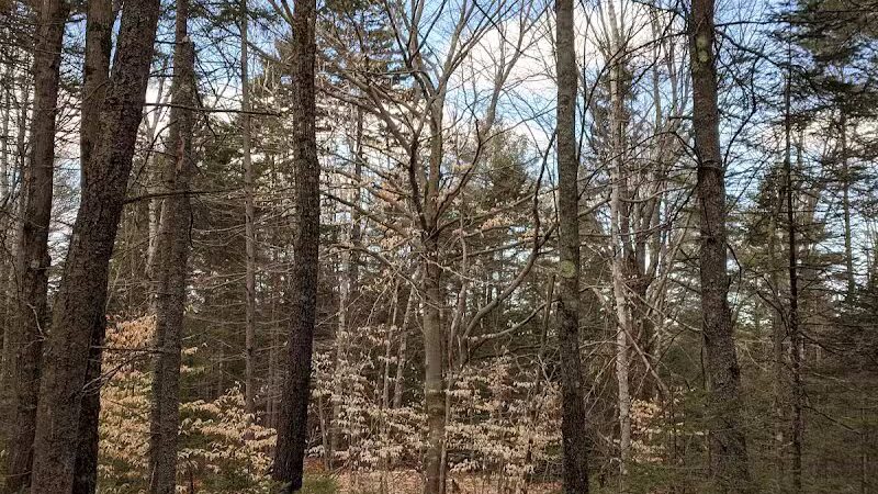 Florida Lake Park - Freeport, ME