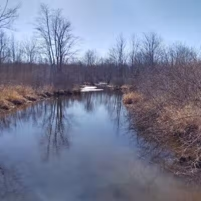 Florida Lake Park - Freeport, ME