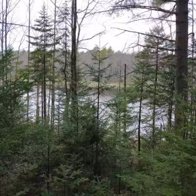 Florida Lake Park - Freeport, ME
